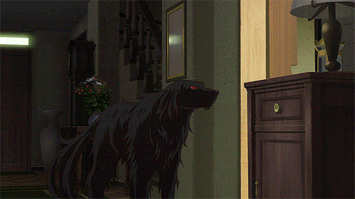 tumblr_offh58DsDE1txsff9o1_500.gif