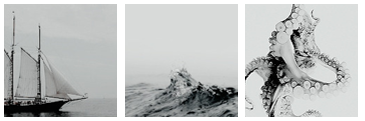 edit___4_by_peachy98-dbg9i17.png