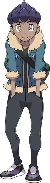 170px-Sword_Shield_Hop.png