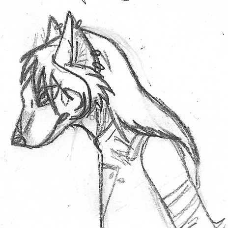 amsu_qumal_profile_by_malamutemako.jpg