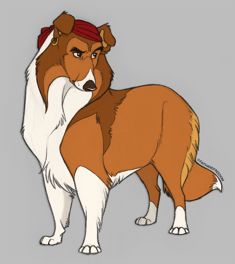 1486760420.faithandfreedom_collie_billy.png