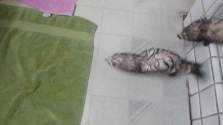 Y57JUvK.gif