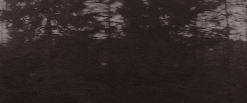large.gif