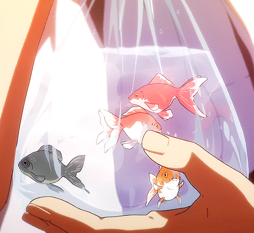 fa7bd05afebc625853e2d7fe90798737.gif