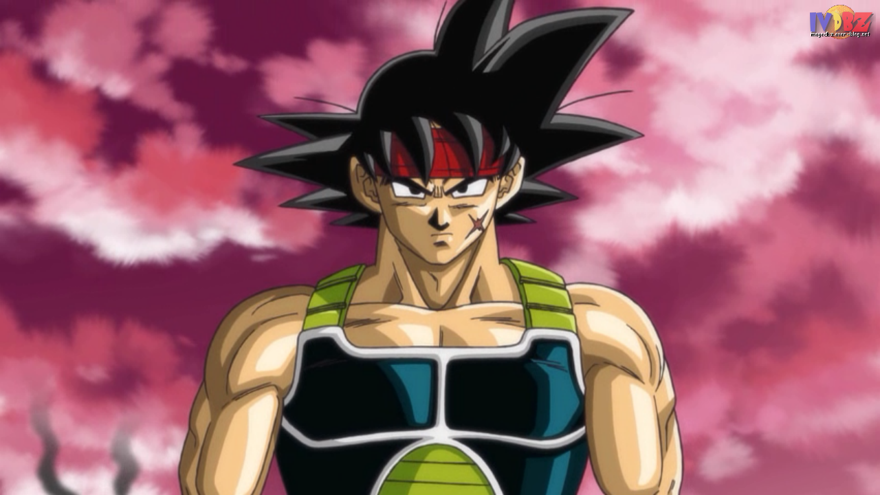 911550Bardock.png