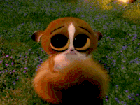 y63pOs200x1501516818637.gif