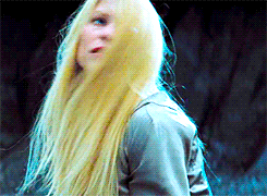 tumblr_mte1i6gPV51rp4uy8o1_250.gif
