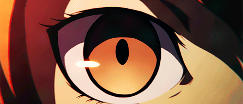 tumblr-n5wuo40sjm1qckkfko1-500.gif