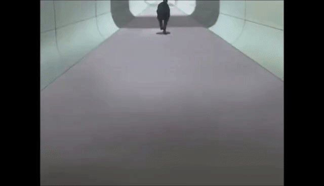 MarvelousAgreeableIndigowingedparrot-size_restricted.gif