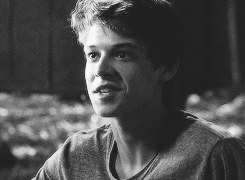 tumblr_mw8b95Geaz1t1udhqo3_250.gif