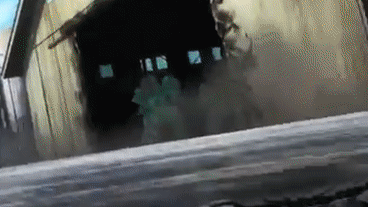 DltX3KJ.gif