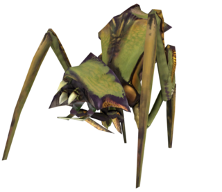 16900.png
