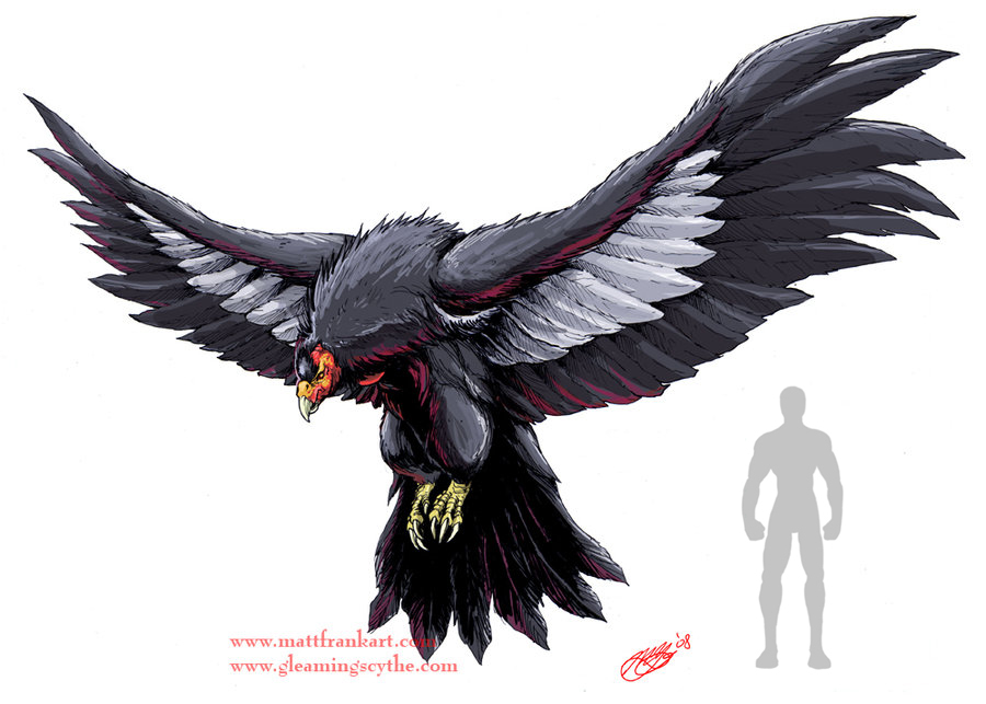 giant_condor_concept_by_kaijusamurai.jpg