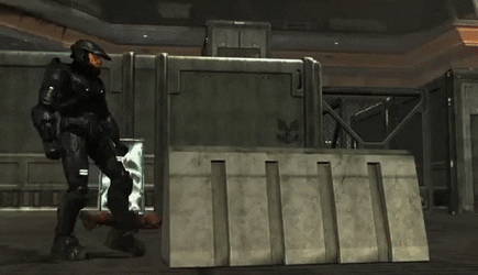 HospitablePalatableLadybird-size_restricted.gif