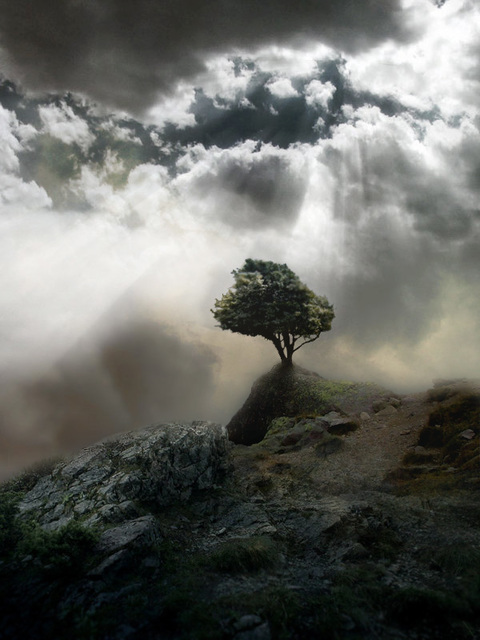 heaven_s_peak_by_moose23.jpg
