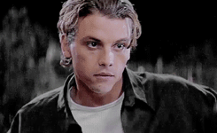 tumblr_ncd9okpBa81s5zj1ko8_250.gif