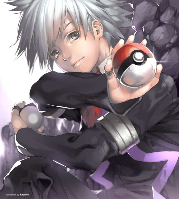 the_champion_from_hoenn_by_kawacy_d6vgfmt.jpg