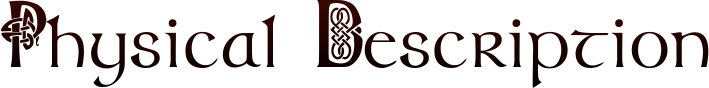 ae0746831c84a24890584f2c6861731e.png