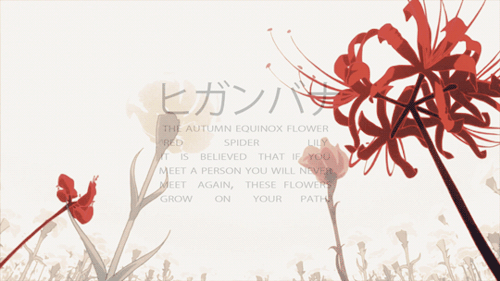 tumblr_nj0c1bri571sfbu0eo5_500.gif