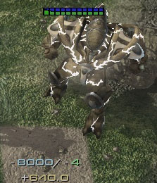 8365543.jpg