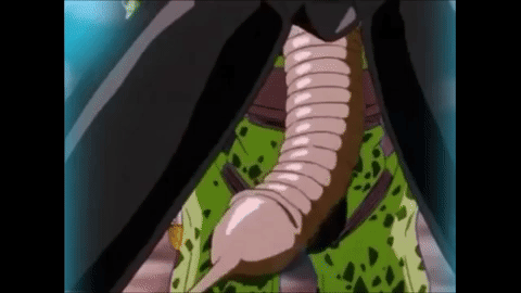 giphy.gif