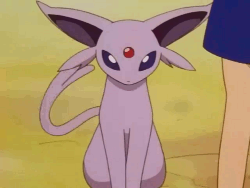 tumblr_mmcbjhtjYh1r50os1o1_500.gif