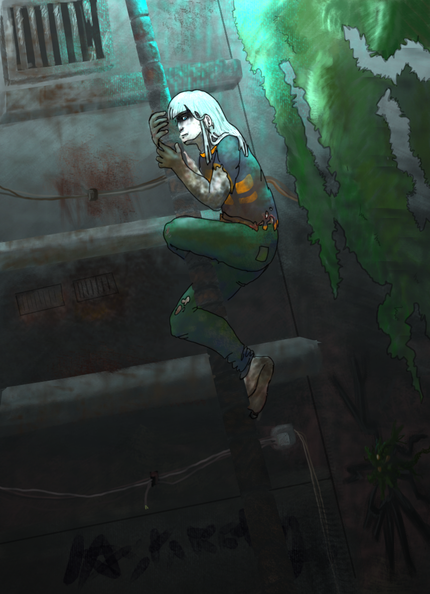 2h7jcxk.png