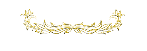 559c55635ccacf4423622e4d