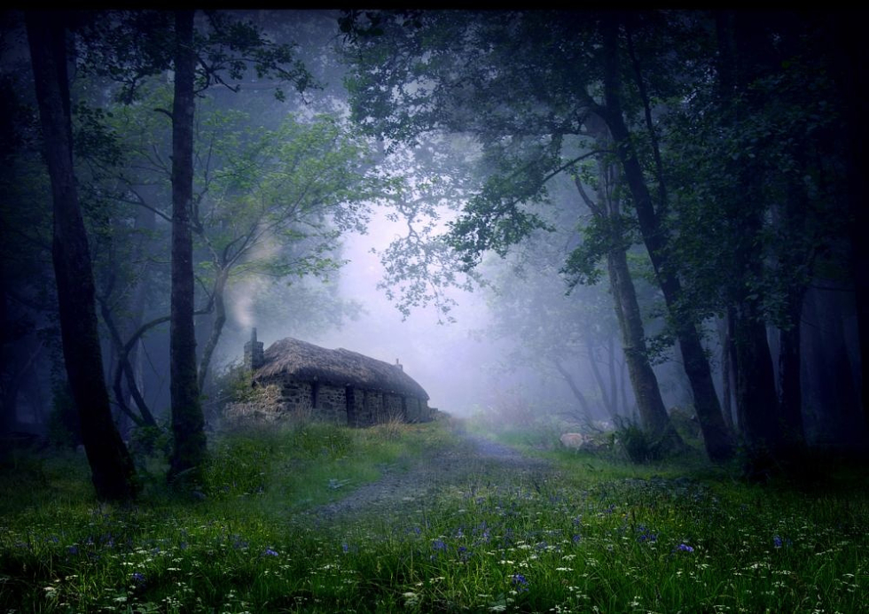 Cottage-In-The-Woods-Scotland-980x693.jpg