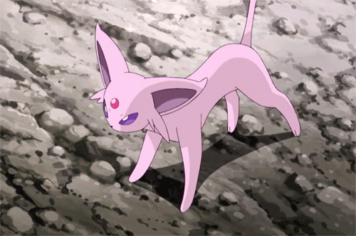 tumblr_n0x91xidKG1t1y8q5o1_500.gif