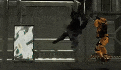 InferiorWhisperedAntelope-max-1mb.gif