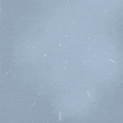 RashAliveAnchovy-max-1mb.gif
