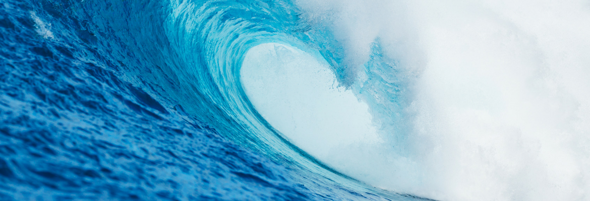 Wave-Header.png