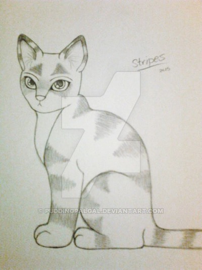 stripes_by_puddingpalgal-db2hidf.jpg