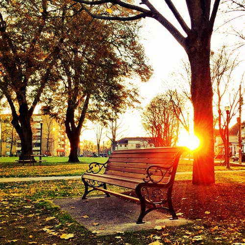 Park-Sunset.jpg