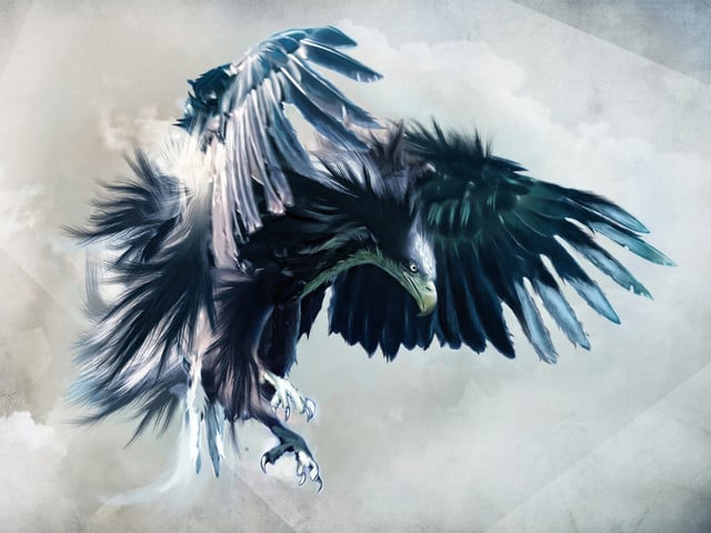 Blue_Eagle_Design_1024x768.jpg