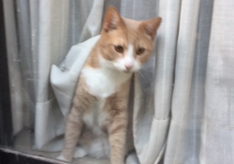 iYFWtUx.jpg