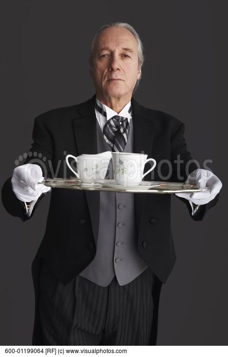 be26bd4daacbc387bb06d2aac0c0063d--the-butler-butler-pantry.jpg