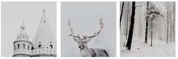 edit___3_by_peachy98-dbg9i11.png
