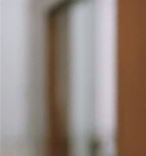 jb268vM.gif